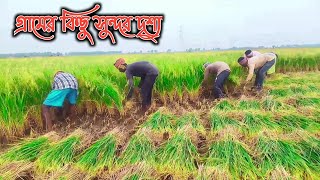 গ্রামের কিছু সুন্দর দৃশ্য।আমার গ্রামের কিছু প্রাকৃতিক সৌন্দর্য।আমার গ্রামের বাড়ি।Dancer Bullet