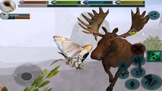 Owl Simulator, Ultimate Bird Simulator - By Gluten Free games