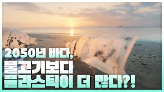 2050년 바다, 물고기보다 플라스틱이 더 많다?!