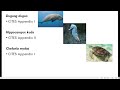 q211 260 review questions and answers in capture fisheries 4