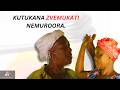 DARE RACHIEF DOTITO: KUTUKANA ZVEMUKATI NEMUROORA