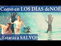 EL FIN será como los días de NOÉ - ¿Cómo tener Paciencia y FE en DIOS en tiempos de tribulación?