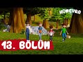 Paylaşmak - Hümeyra 13. Bölüm