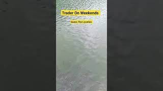 Trader On Weekends #uttrakhand #ytshorts #youtubeshorts #ytshortsindia #shorts