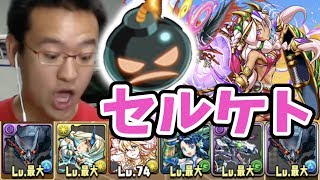 【パズドラ】また爆弾に悩まされる！セルケト降臨【ゼロから実況プレイ #39】