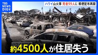 ハワイ山火事 住居を失った人は約4500人　郵便物の配布始まる｜TBS NEWS DIG