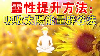 靈性提升方法：吸收太陽能量辟穀法！有人疾病不治而愈？