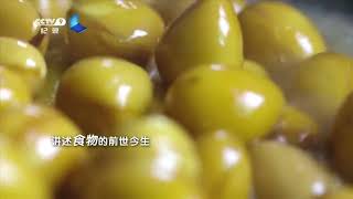 《寻味顺德》宣传片｜NewTV华语纪录片