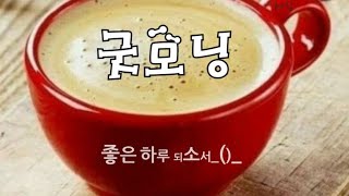 💟 날씨는 아직 춥지만 봄을 기다리는 설렘으로 주말 잘 보내세요 ~♡