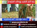 ragi crop damaged due to heavy rain in kolar