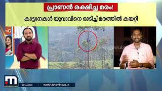 ജീവിതത്തിനും മരണത്തിനുമിടയിൽ ഒരു മരത്തിന്റെ ഉയരം; സജി കൊമ്പനിൽ നിന്ന് രക്ഷപ്പെട്ട കഥ | Elephant