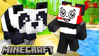 Things You Didn't Know About Pandas! Let's Play Minecraft Feeding A Panda Cake with Combo Panda