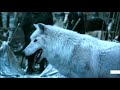 Jon and Ghost (Direwolf) -  Game of Thrones