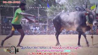 சிலட்டூர் வடமாடு  7-வது  சுற்று