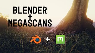 Blender Tutorial: Blender, Megascans and You!