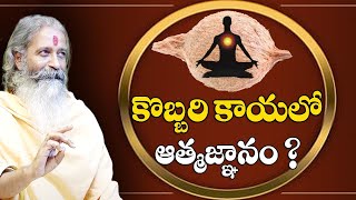 Self-knowledge || కొబ్బరికాయలో ఆత్మజ్ఞానం ? || Divyagyana Siddhanti || Sree Sannidhi TV