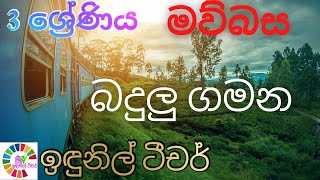 3 ශ්‍රේණිය - සිංහල - 13 පාඩම - බදුලු ගමන #grade 3 #Sinhala #Badulu Gamana