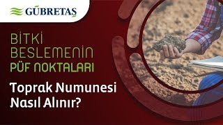 Toprak Numunesi Nasıl Alınır?