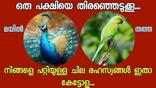 ഇതിൽ ഒരു പക്ഷിയെ തിരഞ്ഞെടുക്കൂ.. നിങ്ങളെപ്പറ്റി ഉള്ള ചില രഹസ്യങ്ങൾ ഇതാ കേട്ടോളൂ...