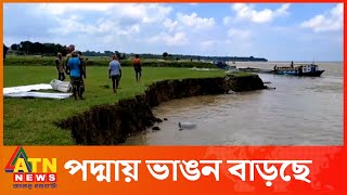 পদ্মায় পানি কমছে, বাড়ছে ভাঙন | Padma River | Rajbari  | ATN News