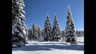 Pot v zimsko pravljico na Pokljuki