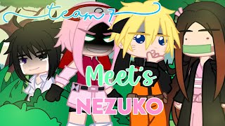 || Team 7 meet’s Nezuko || Gcmm || Demon Slayer || Naruto ||