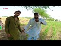 village talent | village vlog | village life Pakistan | Pakistani vlog