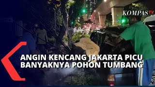 Waspada! Siklon Tropis Paddy Berdampak Pada Cuaca Buruk, Sebabkan Angin Kencang Melanda Jakarta