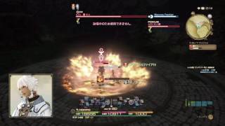 【FF14】機工城アレキサンダー零式:律動編4層木人討伐戦　(黒魔導士)