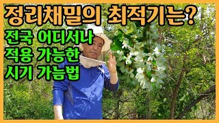 [양봉교육]정리채밀의 최적기는 언제일까요?