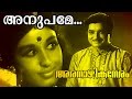 Anupame Azhake... | Malayalam Classic Movie | Aranazhika Neram | Movie Song
