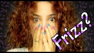 DIY: Homemade Frizzy Hair Remedies! | AndreasChoice