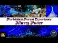 Wizarding World of Harry Potter | A Forbidden Forest Experience | Walkthrough and Review