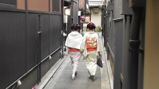 京都　祇園甲部　芸妓・佳つ春さんの襟替え挨拶回りで、置屋「多麻」「つる居」のある路地で櫻千鶴さん・柚子葉さん（舞妓）との遭遇を期待しましたが…　Geiko \u0026 Maiko at Gion, Kyoto