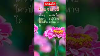 มอบกำลังใจไห้ยามเช้า #กำลังใจ #เปิดการมองเห็น #สวัสดียามเช้า