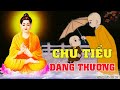 Kể Truyện Đêm Khuya - CHÚ TIỂU ĐÁNG THƯƠNG - Chuyện Kể Phật Giáo Cảm Động Trời Xanh |Cội Nguồn Từ Bi