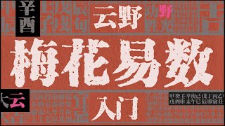 算卦梅花入门教程 | 建议收藏，全程无废话，手把手教你学梅花易数（二）