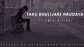 Taku Bhulijare Hrudaya Lofi Song [slowed + reverb] || Odia Lofi || Humane sagar || Odia Lofi Song ||