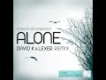 alone david k u0026 lexer remix