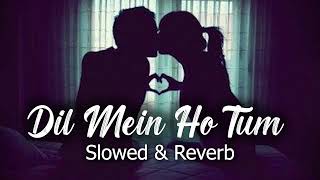 Dil me ho tum [Slowed + Reverb] slow Version |  Tulsi Kumar | Slowed Reverb | Reverb World |