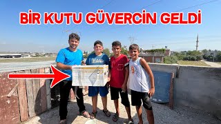 Şen Ortaklara Bir Kutu Güvercin Hediye Geldi