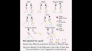 Quadruped Movement Animation Tutorial - Walk, Gallop, Trot, Pace #animation