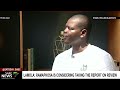 Lamola calls on Ramaphosa to take Phala Phala Section 89 panel report on legal review