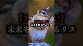 【アホ可愛い】未来を創造するリス#雑学 #動物 #リス #可愛い #木の実 #都市伝説 #squirrel #shorts