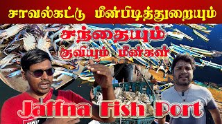 யாழில் எந்த நேரமும்  மீன் குவியும் சந்தை | Jaffna fishing | சாவல்கட்டு துறை | Valvai Sulax