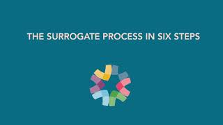 The Surrogate Process: Six Steps To Become a Surrogate with ConceiveAbilities Surrogacy Agency