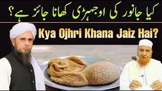 Kya Ojhri Khana Jaiz Hai? Mufti Tariq Masood | Maulana Makki Al Hijazi | Islamic Group