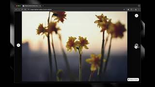 Image Lightbox Gallery for Framer with CMS Integration