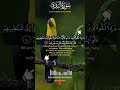 Surah Al Baqarah Ayat 14-15 سورة البقرة #قرآن_كريم #سورة_البقرة س #duet #quran_recitation #ruqyah