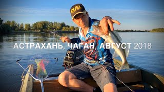 Рыбалка и отдых в Астраханской области, с. Чаган, август 2018 года